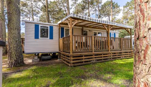 Mobile Home