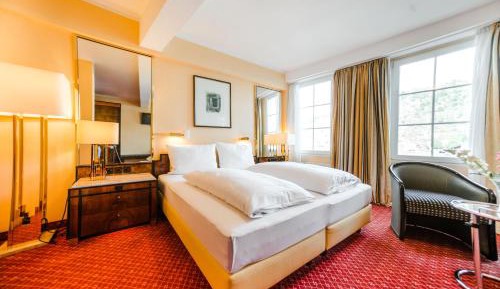 Double Room with Rhine view