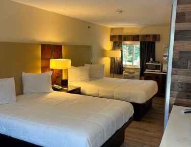 Double Room with Two Double Beds