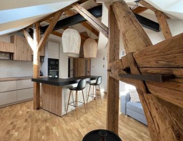 Penthouse Apartment