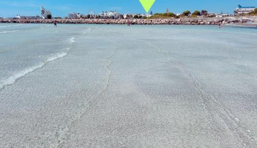 Deluxe One-Bedroom Apartment