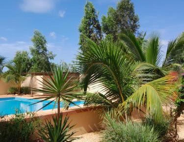 King Room with Pool View