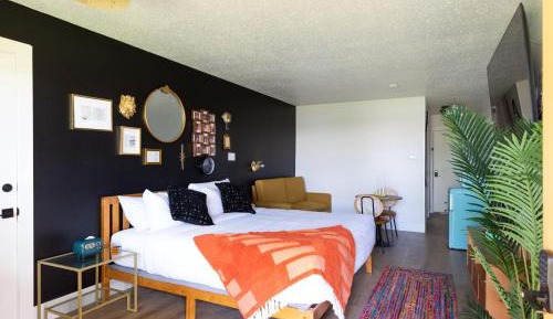 King Studio with Sofa Bed