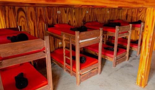 Bunk Bed in Mixed Dormitory Room for 16 people