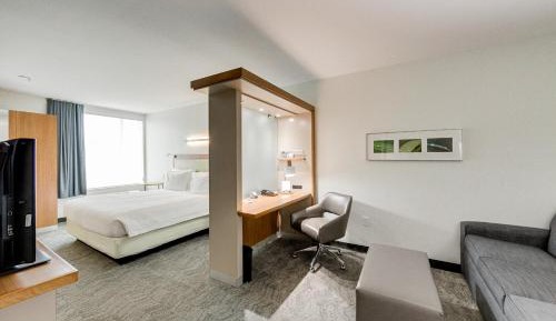 King Suite with Sofa Bed