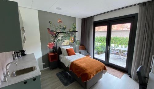 Single Room with Terrace