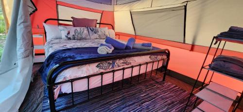 King Tent
