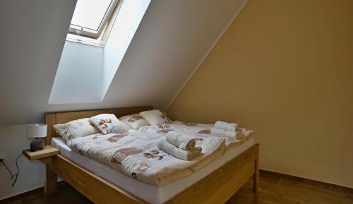 One-Bedroom Apartment with Sofa Bed
