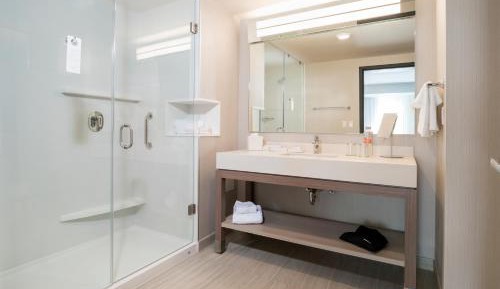 One-Bedroom King Suite with Sofa Bed