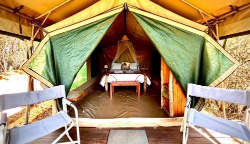 Standard Tent