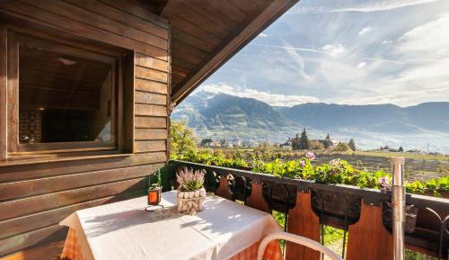 Superior One-Bedroom Apartment with Balcony