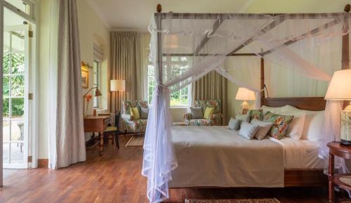 Garden Suite 