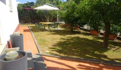 Superior Double or Twin Room with Garden View