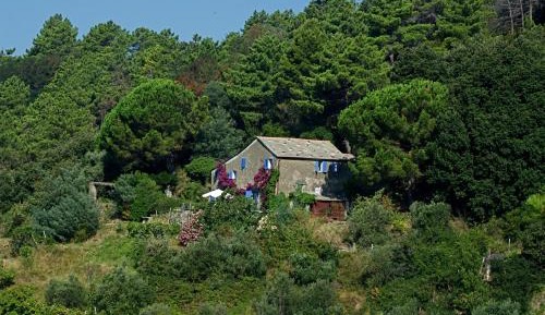 Villa with Sea View