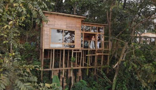 One-Bedroom House