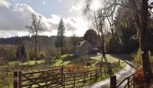 Holiday Home