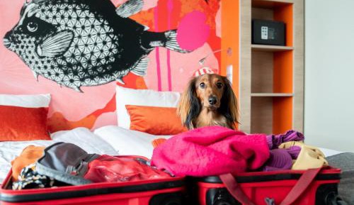 Stylish Twin Room
