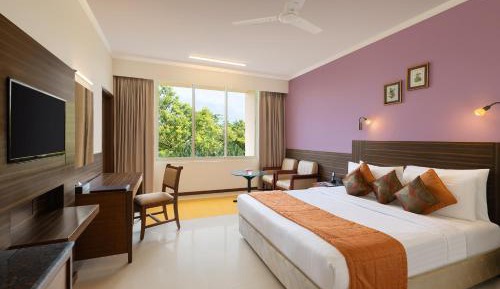 Executive Double or Twin Room
