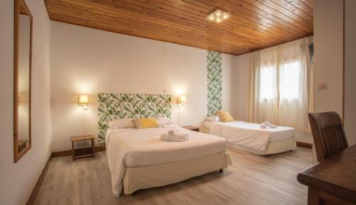 Standard Room Mountain View