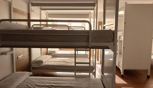 Bunk Bed in Mixed Dormitory Room