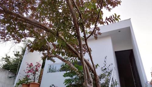 One-Bedroom House