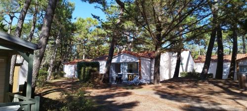 Family Bungalow