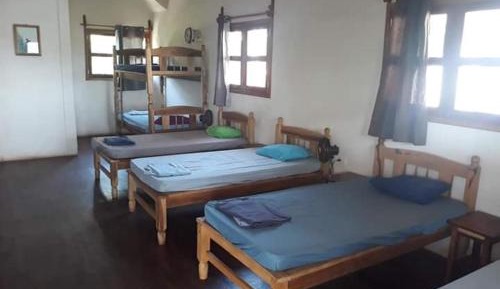 Bed in 6-Bed Dormitory Room