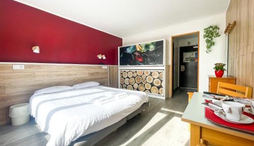 Double or Twin Room with Mountain View