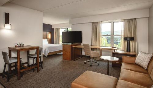 Queen Studio, Sofa Bed, Full Kitchen, Living Space