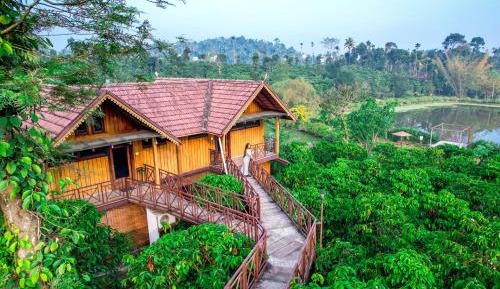 Premium Wooden Cottage