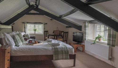 Superior Quadruple Room