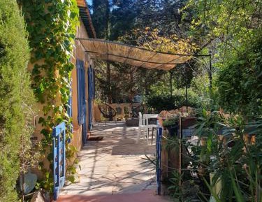 King Studio with Sofa Bed