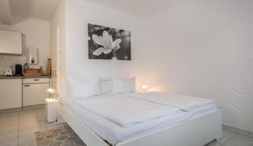 Superior One-Bedroom Apartment