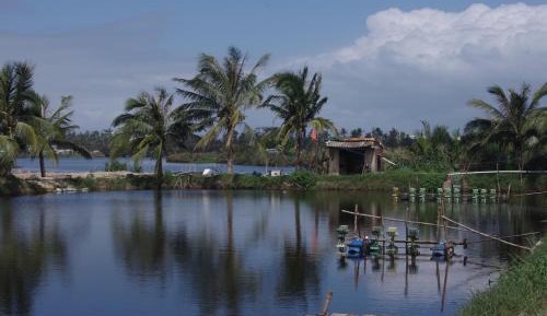 Double Room with Pool View