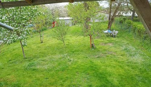 Economy Quadruple Room with Shared Bathroom