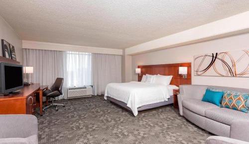 Executive Suite, 1 King, Sofa bed