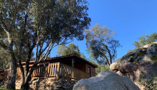 Chalet in the forest (2 adults + 2 children)