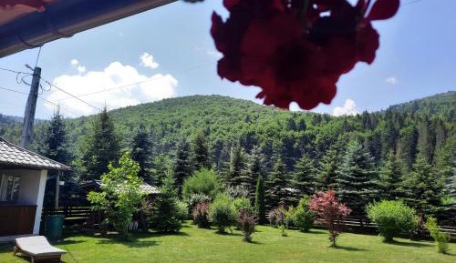 Deluxe Double Room (2 Adults + 1 Child)