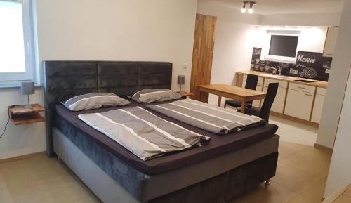 Superior One-Bedroom Apartment