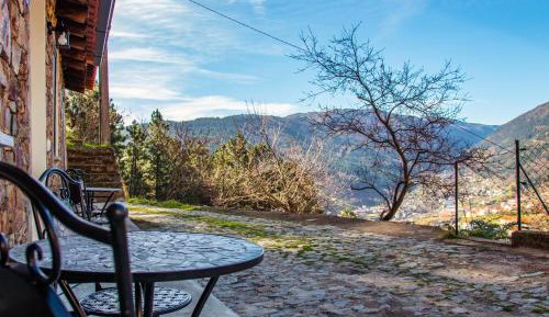 Deluxe Double or Twin Room with Mountain View