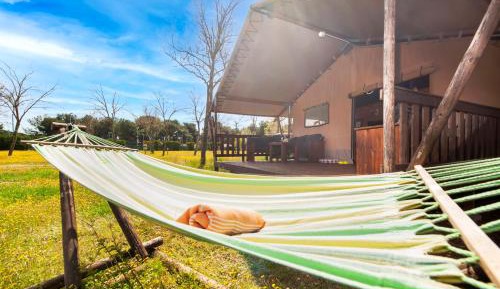 Superior Two-Bedroom Safari Tent
