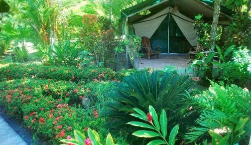 Tent with Pool View