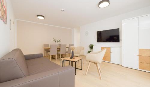 Business Apartment with Terrace