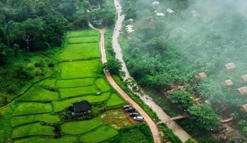 Bungalow with Garden View