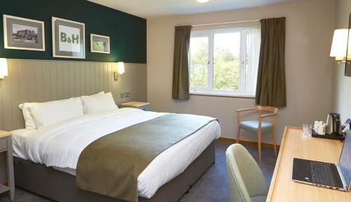 Standard Double or Twin Room