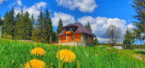 One-Bedroom Chalet