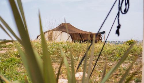 Tent