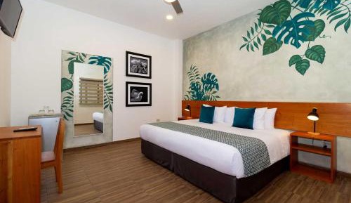 Standard Double or Twin Room