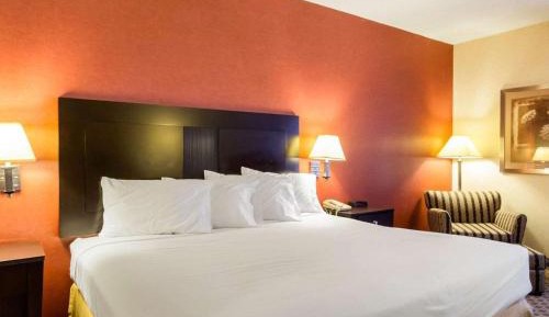 Standard King Room - Non-Smoking 