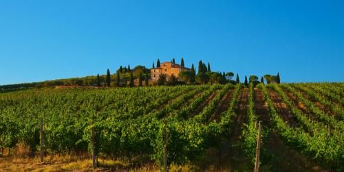 Apartment with Terrace